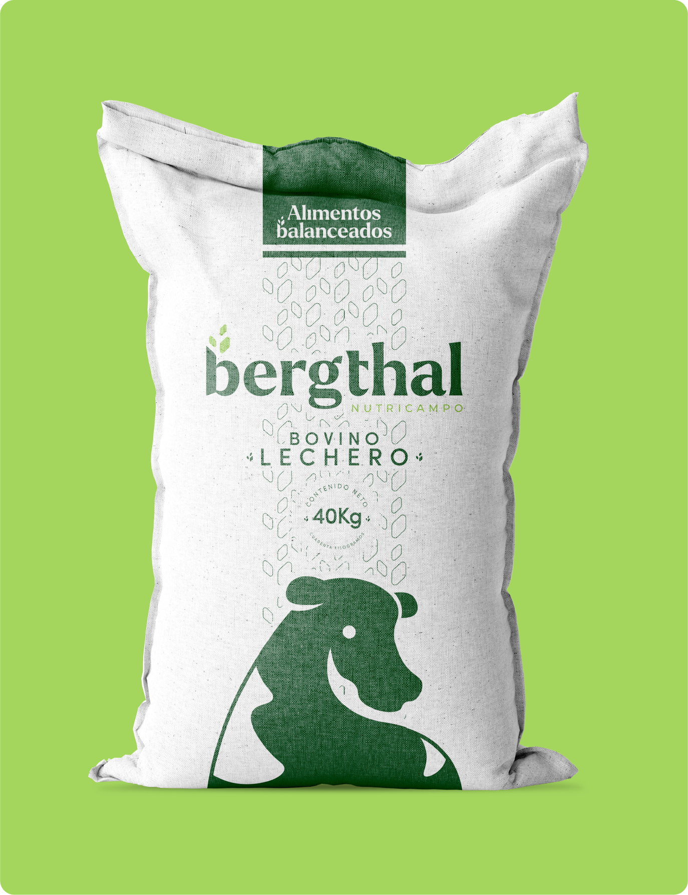 Bergthal Nutricampo project thumbnail